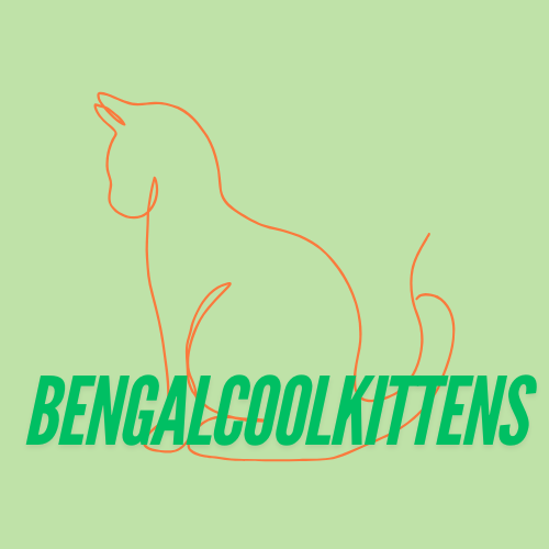 bengalcoolkittens.co.uk
